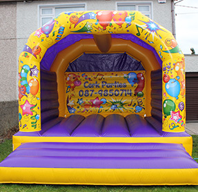 Standard Bouncy Castle